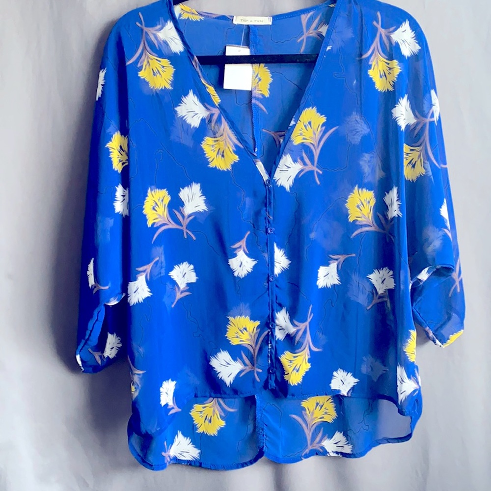 Royal-Blue Sheer Blouse